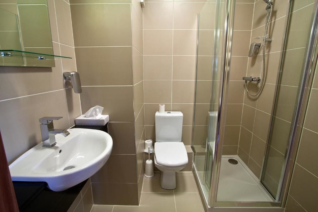 Отель West County Hotel Чейплизод-44